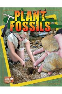 Plant Fossils
