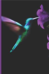 Hummingbird Journal