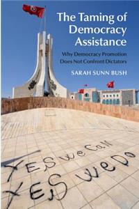 The Taming of Democracy Assistance