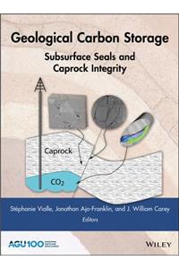 Geological Carbon Storage