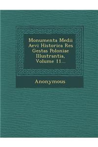 Monumenta Medii Aevi Historica Res Gestas Poloniae Illustrantia, Volume 11...