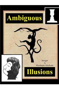 Ambiguous Illusions