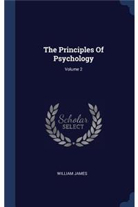 Principles Of Psychology; Volume 2
