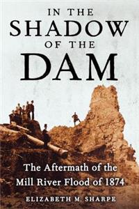 In the Shadow of the Dam, The Aftermath of the Mill River Flood of 1874