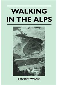 Walking in the Alps