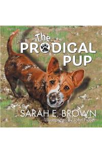 The Prodigal Pup