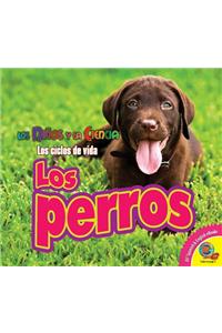 Los Perros