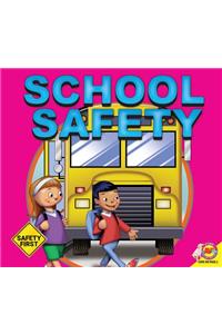 School Safety