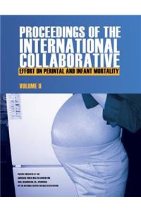 Proceedings of the International Collaborative Effort on Perinatal and Infant Mortality