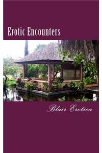 Erotic Encounters