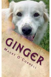 Ginger