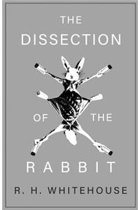 Dissection of the Rabbit