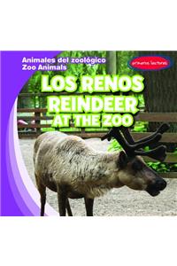 Los Renos / Reindeer at the Zoo