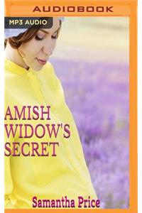 Amish Widow's Secret