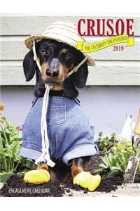 Crusoe the Celebrity Dachshund 2019 Engagement Calendar (Dog Breed Calendar)