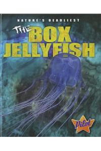 Box Jellyfish