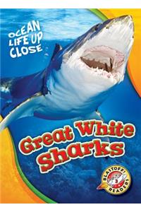 Great White Sharks