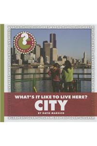 What's It Like to Live Here? City