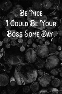 Be Nice I Could Be Your Boss Some Day.