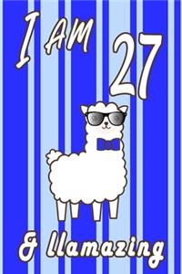 I AM 27 and LLamazing boys journal