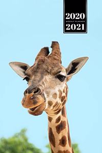 Giraffe Safari Week Planner Weekly Organizer Calendar 2020 / 2021 - Bored Eyes