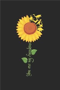 You are my Sunshine