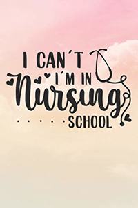 I Can't I'm In Nursing School