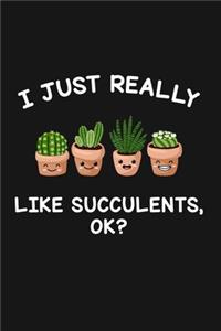 I Just Really Like Succulents Ok