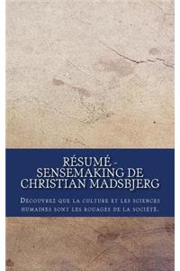 Résumé - Sensemaking de Christian Madsbjerg