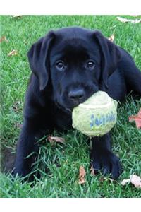 Black Labrador Puppy Calendar Notebook