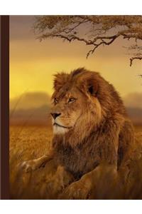 Daily Planner: 2019 - 2020 African Lion Leo Yearly Planner I January 19 - December 19 Writing Notebook Plan Days, Set Goals & Get Stuff Done