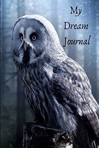 My Dream Journal