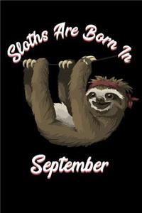 Sloths Are Born in September
