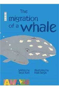 The Migration Of A Whale