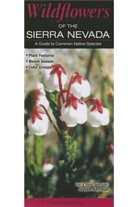 Wildflowers of the Sierra Nevada