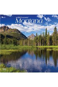 Montana Wild & Scenic 2020 Square
