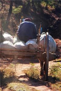 Farmer on an Oxcart in Vietnam Journal