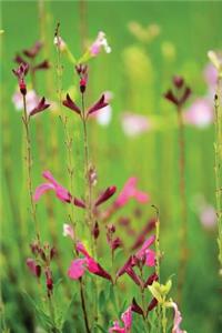 Pink & Purple Wildflowers - Lined Notebook with Margins