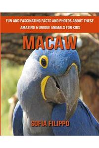 Macaw