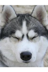 Husky Bullet Journal