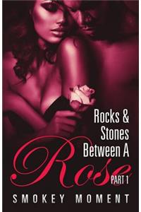 The Rocks & Stones Between A Rose 1