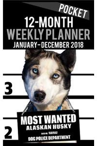 2018 Pocket Weekly Planner - Most Wanted Alaskan Husky