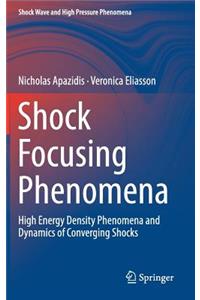 Shock Focusing Phenomena