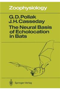 The Neural Basis of Echolocation in Bats