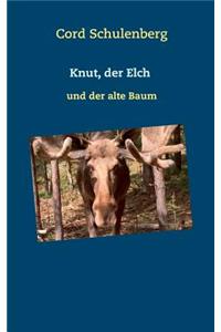 Knut, der Elch