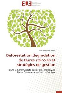Déforestation, Dégradation de Terres Rizicoles Et Stratégies de Gestion