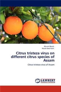 Citrus tristeza virus on different citrus species of Assam