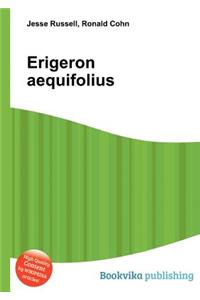 Erigeron Aequifolius