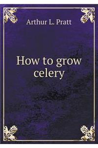 How to Grow Celery