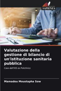 Valutazione della gestione di bilancio di un'istituzione sanitaria pubblica